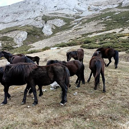 Los Casares Riaño Kültér fotó